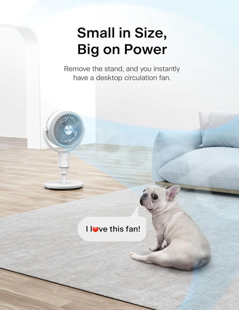 ZAMORA MART air circulation fan with adjustable blades and modern design, ideal for cooling and improving airflow in rooms.