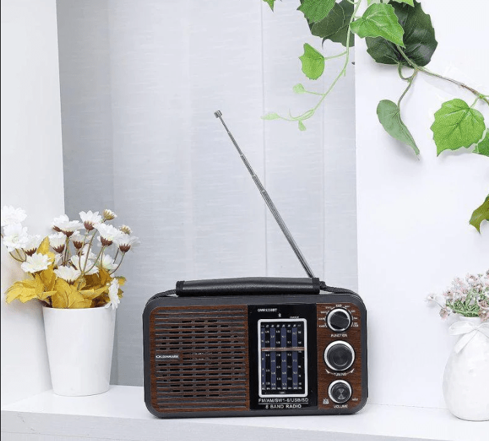 ZAMORA MART rechargeable radio with digital display, portable design, and built-in speaker for outdoor and indoor use